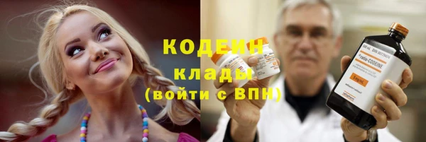 дмт Снежногорск