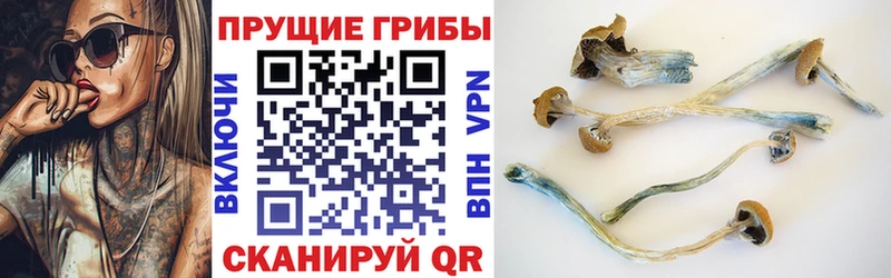 Псилоцибиновые грибы GOLDEN TEACHER Балабаново