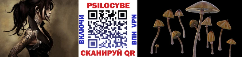 где найти   ОМГ ОМГ ссылки  Псилоцибиновые грибы мицелий  Балабаново 