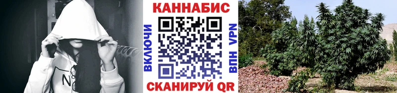 наркотики  Балабаново  Каннабис план 